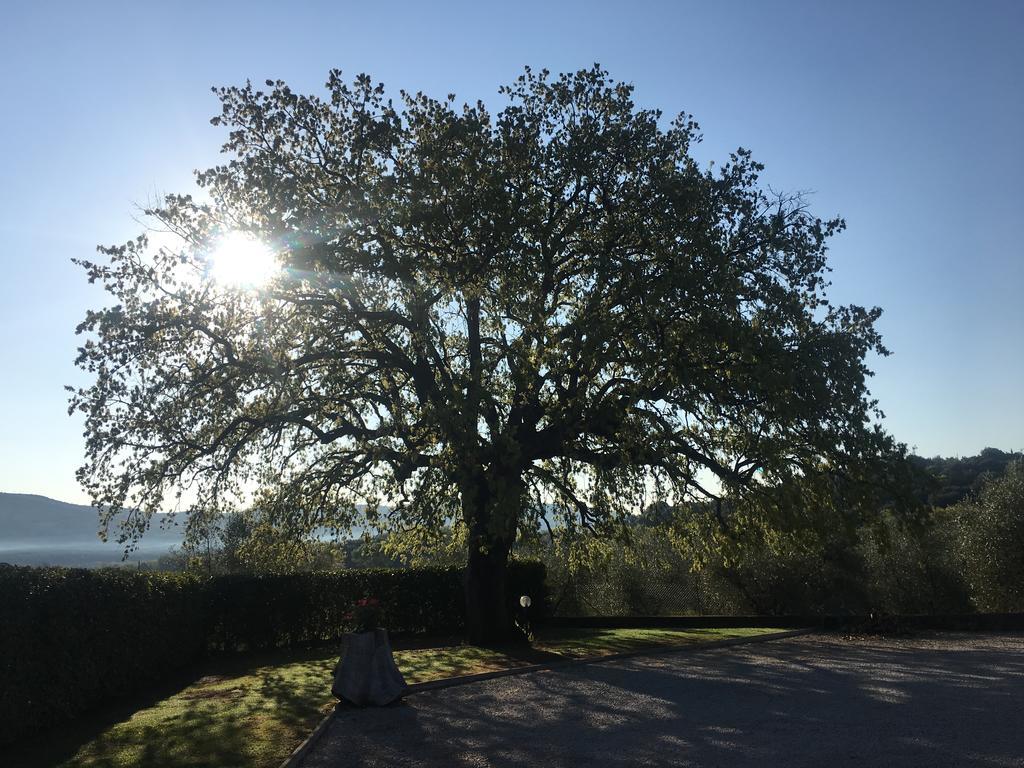 Agriturismo Pian Del Vescovo 马萨马里蒂马 外观 照片