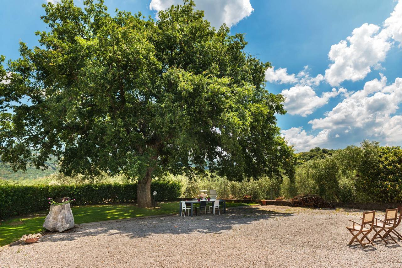 Agriturismo Pian Del Vescovo 马萨马里蒂马 外观 照片